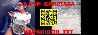 крисы Шелехов