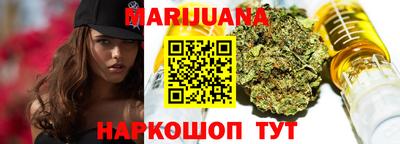 крисы Шелехов