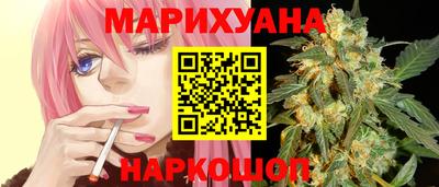 крисы Шелехов