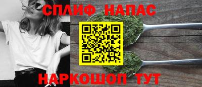 крисы Шелехов