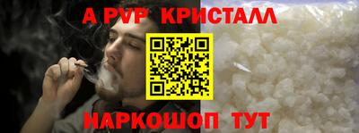 крисы Шелехов