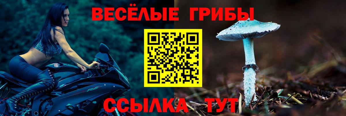 Галлюциногенные грибы прущие грибы  Вход с VPN  Большой Камень 