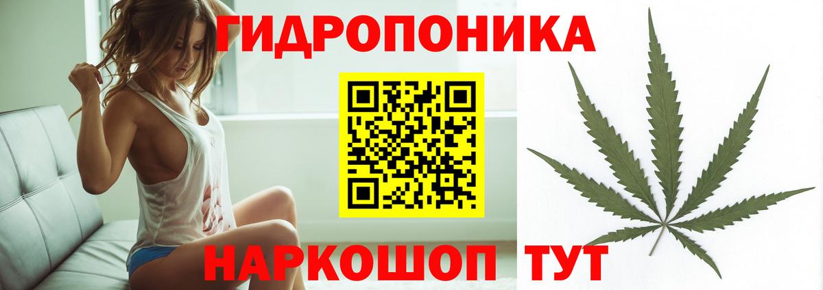 Каннабис марихуана Большой Камень